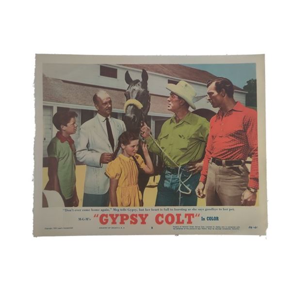 Gypsy Colt Lobby Card (1954)