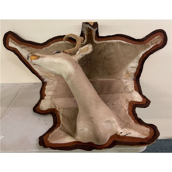 Taxidermy Deer Head Rug Or Wall Mount Approx 5 Ft Length Taxidermy Deer Head Rug Or Wall Mount Approx 5 Ft Length