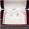 Image 1 : BZ1584-54 14K LASER CUT WHITE MOISSANITE EARRINGS