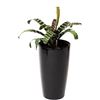 Image 1 : NEW XBRAND SELF WATERING PLANTER IN BLACK