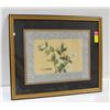 Image 1 : VINTAGE ASIAN FLOWER STUDY SIGNED PRINT