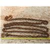 Image 1 : 17ft chain with hooks