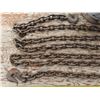 Image 2 : 16ft chain with hooks