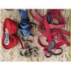 Image 2 : Ratchet straps & clamps
