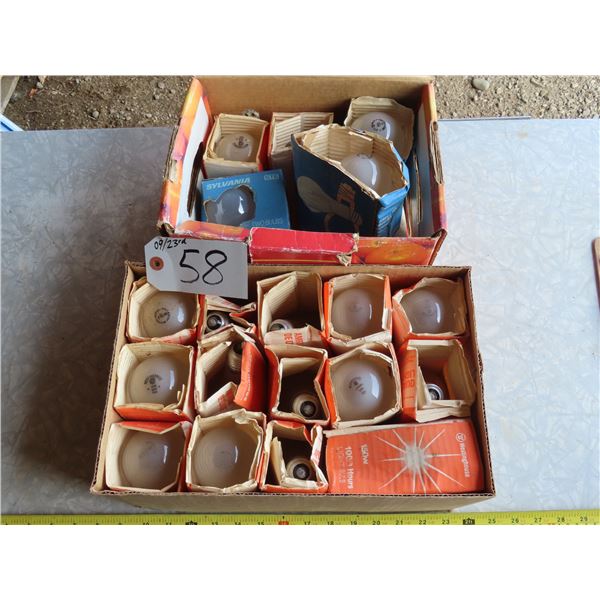 Lot of light bulbs - 150 watt - assorted