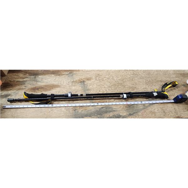 Walking Canes - Like New