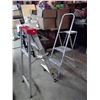 Image 1 : 2 Short Step Ladders