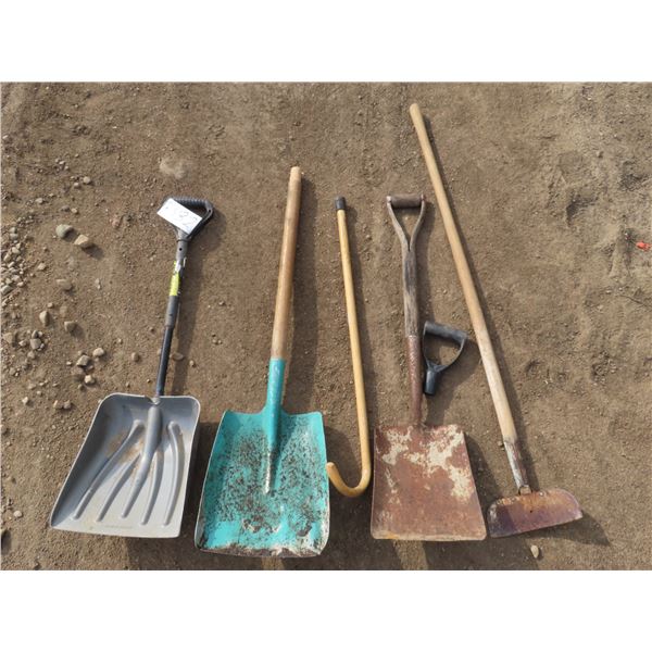 Lot of shovels/garden hoe/ & cane