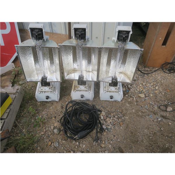 3x 1000W HID lamps with ballast