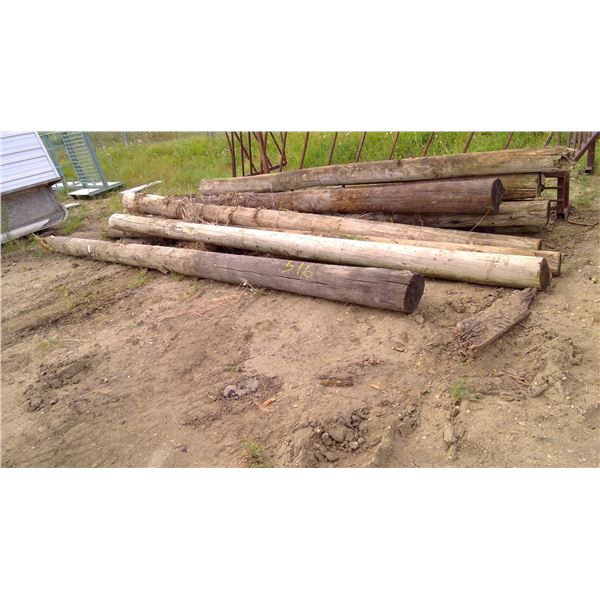 10 large poles ( 14' and up, 6" diameter and up)