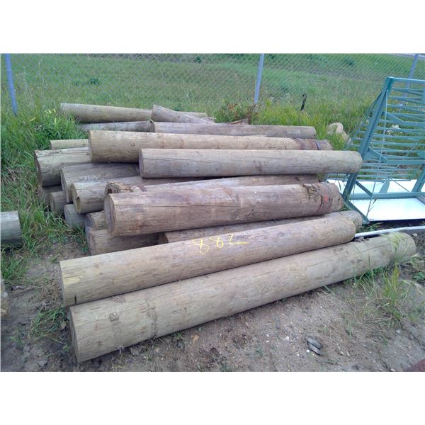 24 Large posts 6-8 feet 8" or greater diameter