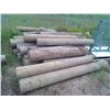 Image 1 : 24 Large posts 6-8 feet 8" or greater diameter