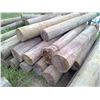 Image 2 : 24 Large posts 6-8 feet 8" or greater diameter