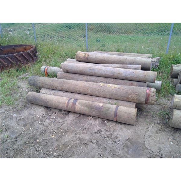 27 Large posts 6-8 feet lengths greater than 8" diameter