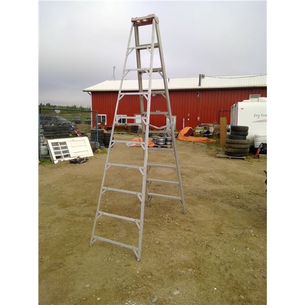 10' step ladder