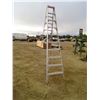 Image 2 : 10' step ladder