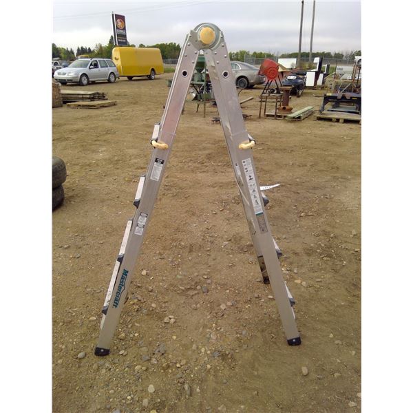 Mastercraft Hinged Ladder