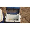 Image 4 : 2 Coolers - 1 large igloo cooler & 1 smaller Gott cooler