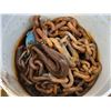 Image 1 : Pail of various heavy chains, with hook