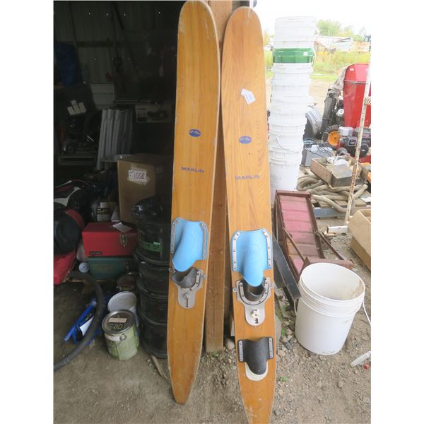 pair of water skis