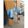 Image 4 : pair of water skis