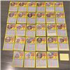Image 2 : Fleer 91' Expos Baseball Cards