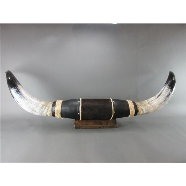 Set Of Longhorn/Watusi Cross Horns- 61 W- 19  Bases