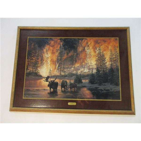 Jim Tschetter Marked Moose Print-  Legacy - 38.5  X 28.5 