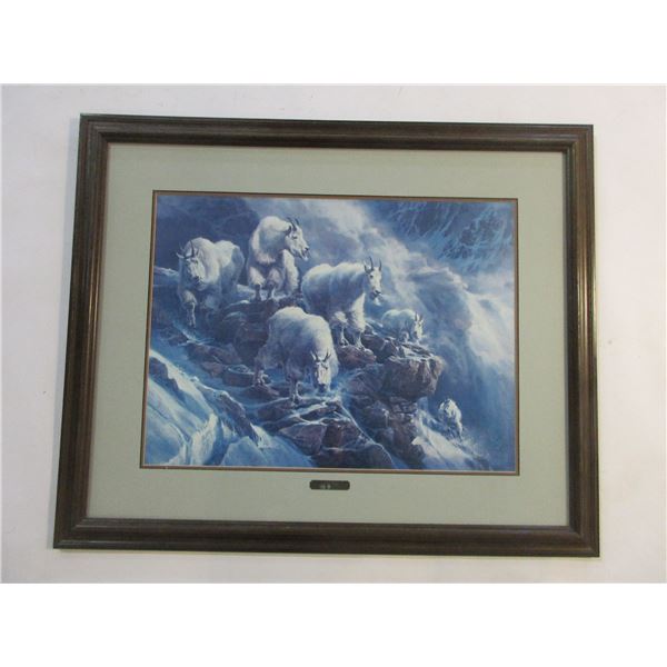 Signed And Numbered Barb Peets Mountain Goat Print-  Avalanche - 759/950- 34  X 28 