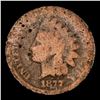 Image 2 : 1877 Indian Cent 1c Graded g4 By SEGS