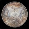 Image 3 : ***Auction Highlight*** 1884-s Morgan Dollar $1 Graded Select Unc BY USCG (fc)