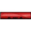 Image 3 : BU Shotgun Lincoln 1c roll, 1954-p 50 pcs Steel-Strong Wrapper 50c