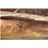 Image 2 : Morrow Original Oil Painting of Deer Approaching a Stream  [168671]