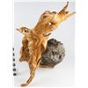 Image 3 : Boxwood Root & Stone Sculpture: Bird of Prey  [149191]