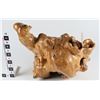 Image 1 : Boxwood Root Turtle Table Base  [149065]