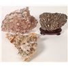 Image 1 : Coral, Calcite And Quartz  [150813]