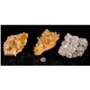 Image 1 : Quartz Variety (3)  [150924]