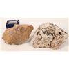 Image 1 : Fossil Coral And Magnetite (Rattlesnake Eggs).  [150810]