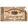 Image 1 : American Pioneer Copper, Silver and Gold Mining Co. Stock Certificate  [123655]