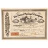 Image 1 : Natural Spring Oil Company Stock Certificate  [167026]