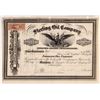 Image 1 : Sterling Oil Company Stock Certificate  [167045]