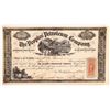 Image 1 : Peoples' Petroleum Company Stock Certificate  [167034]