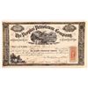 Image 1 : Peoples' Petroleum Company Stock Certificate  [167034]