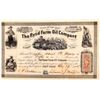 Image 1 : The Rynd Farm Oil Company Stock Certificate  [167039]