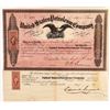 Image 1 : United States Petroleum Company Stock Certificate  [167032]