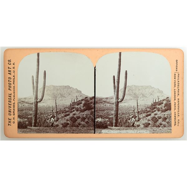 Stereoview of the Great Giant of Arizona the Universal Photo Art Co. by Graves   [168267]