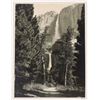 Image 2 : Yosemite Fine photographs by Arthur C. Pillsbury (?)  [168049]