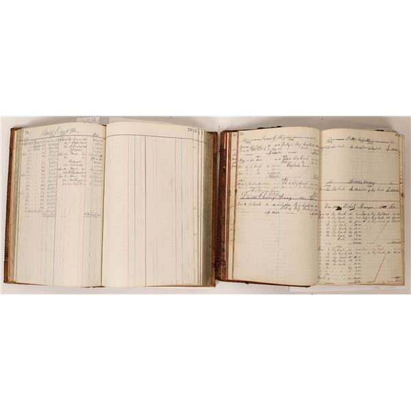 W. & P. Nicholls - Account Ledgers (2) c. 1864-70  [168848]