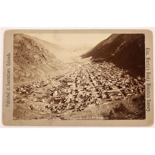 Georgetown Bird's-Eye View Cabinet Card by Martin  [123567]