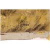 Image 7 : Havana Cigar Directory Ads, Framed c. 1856-61  [168769]